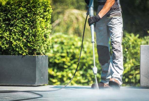 Best Animal Enclosure Cleaning  in Panhandle, TX